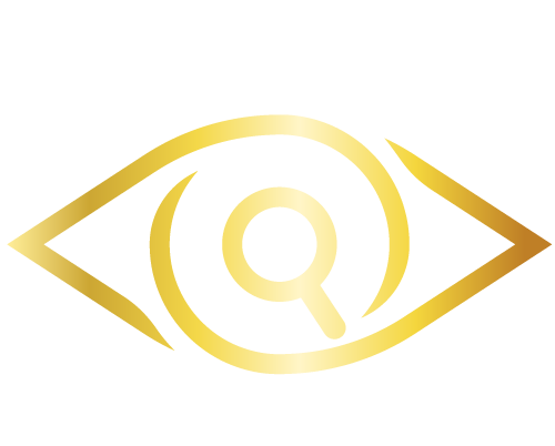 detetiveparticularlacerda.com.br